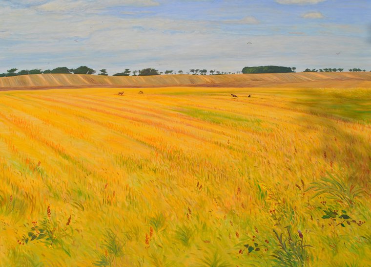 Bregnebjerglund Plejecenter